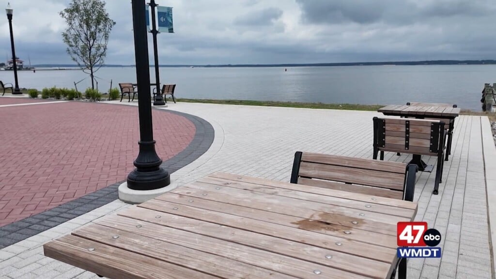 Water Front Ribbon