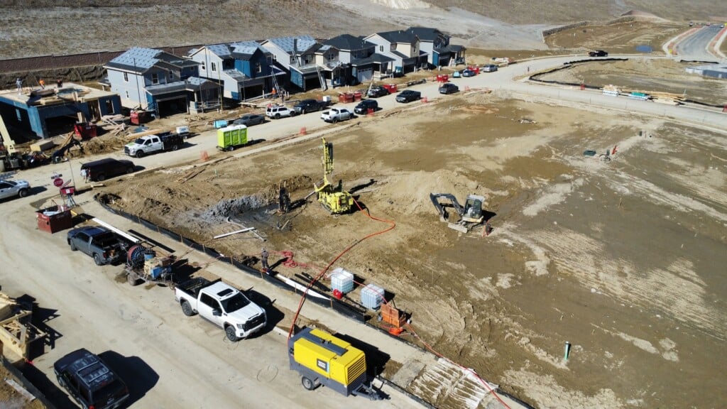 Lennar Dandelion 1