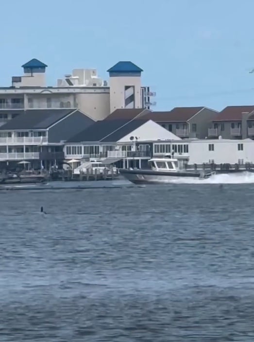 Oc Boat Crash