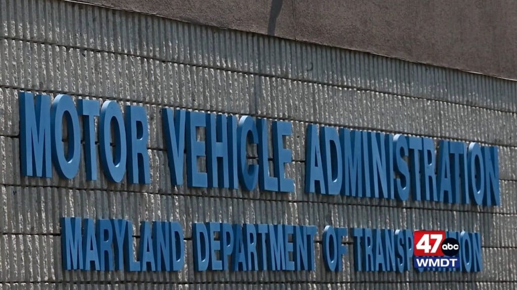 Plate Mva