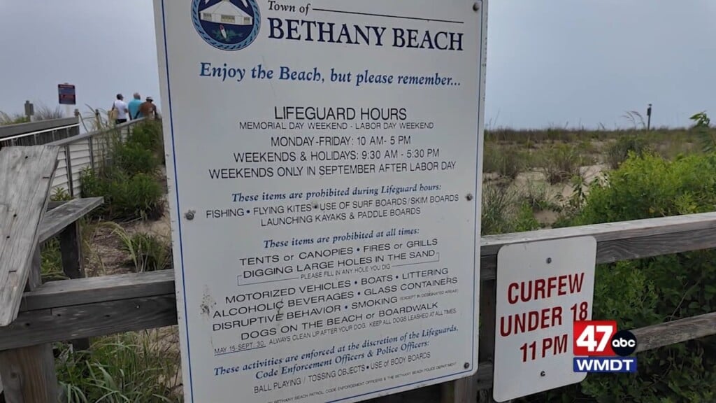 Bethany Jellyfish