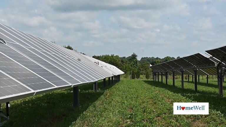 Solarfarms