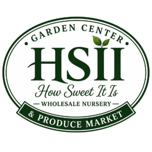 HSII oval Hsii Oval