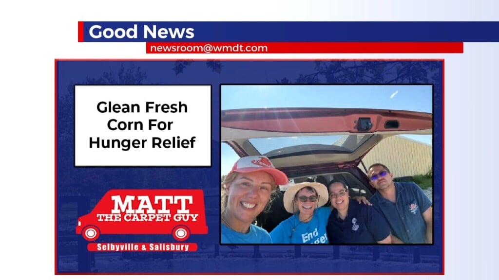 Good News 7/30/26
