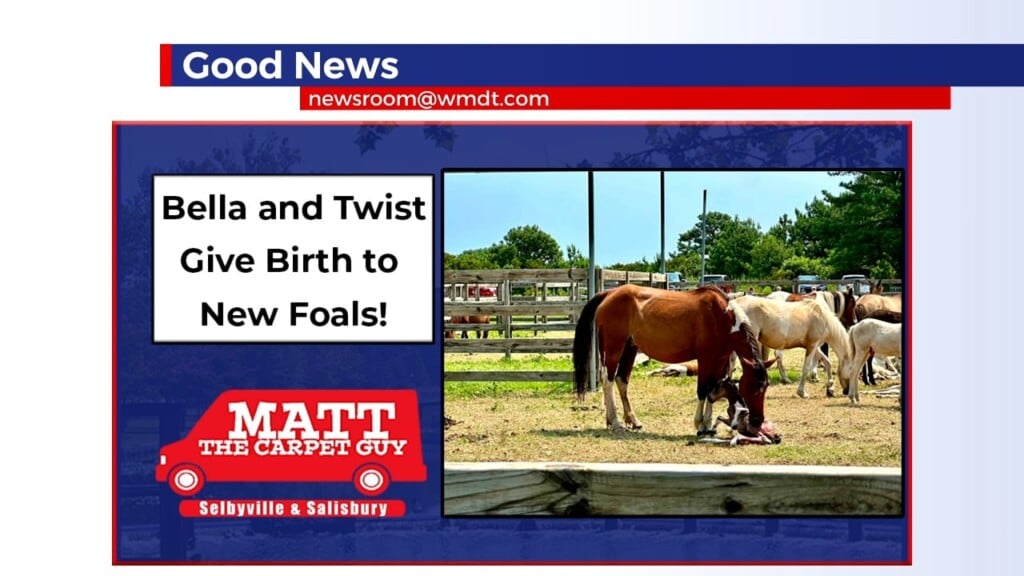 Good News 7/27/26