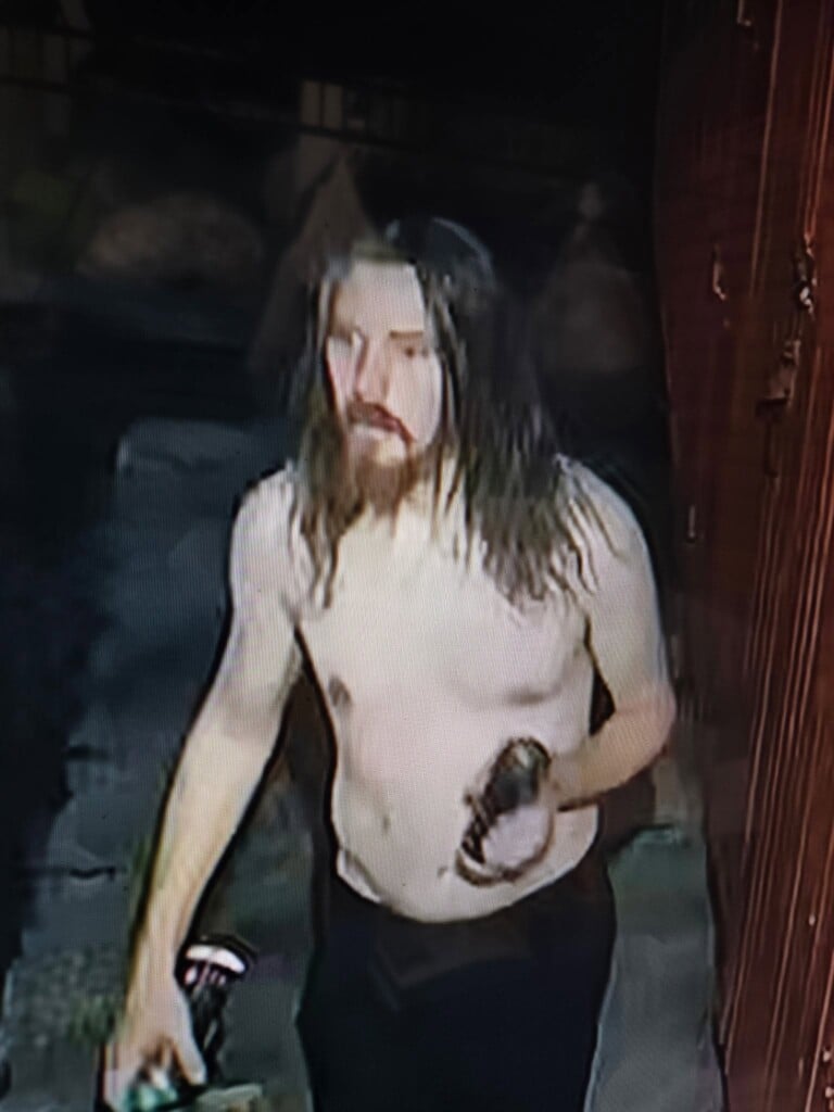 Laurel Suspect