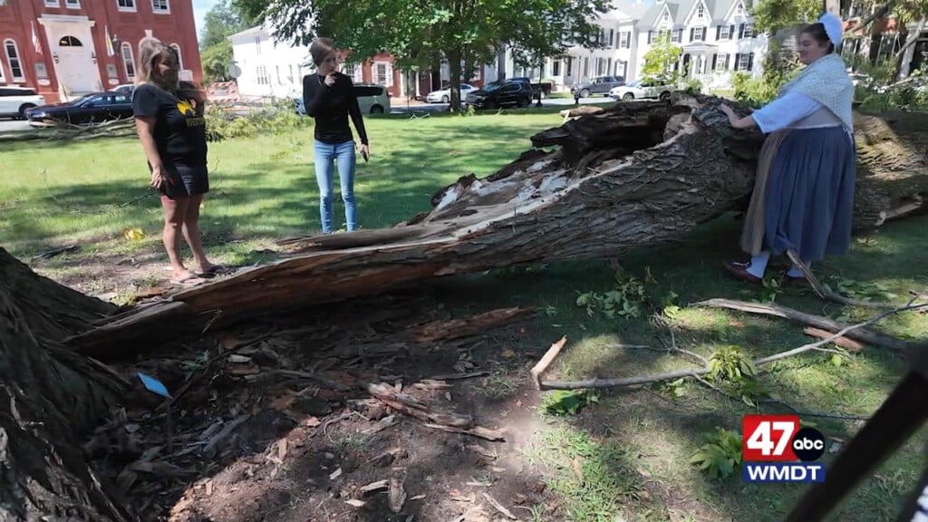 Storm Damage