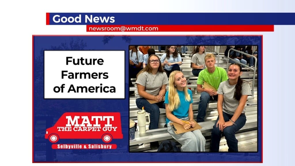 Good News 8/3/26