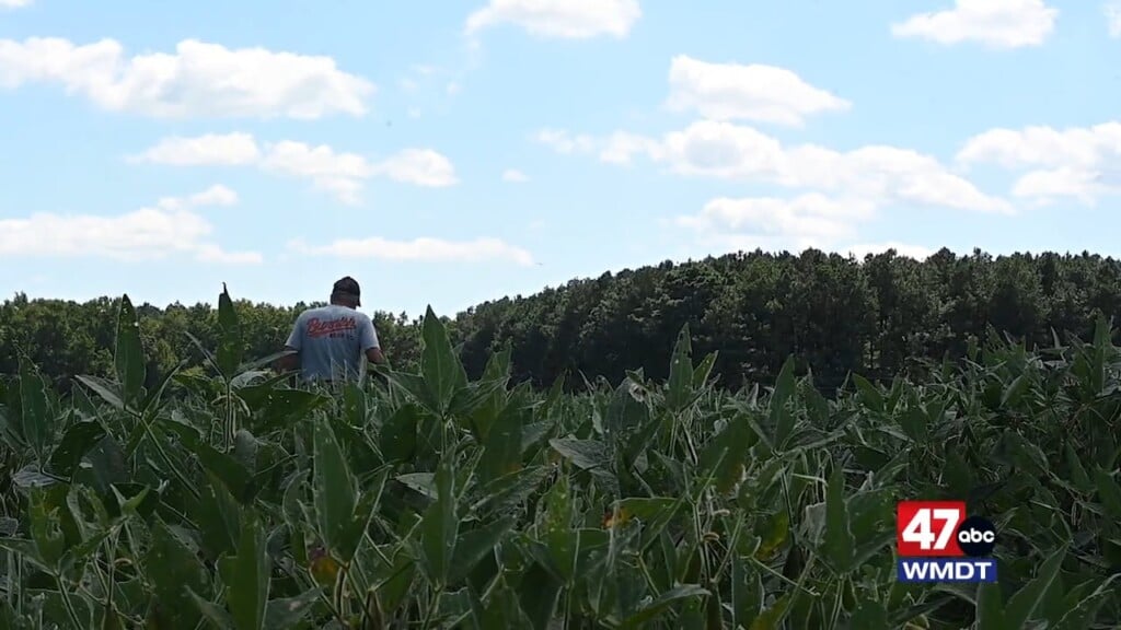 Crop Ai