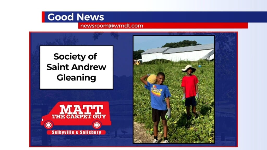 Good News 8/6/26