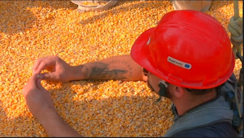 Grain Package Safety