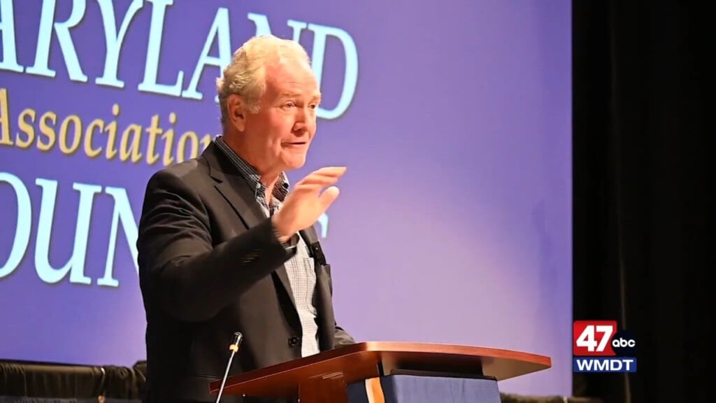 Vanhollen8/14