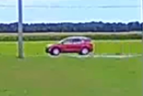 Seaford Fatal Hit Run
