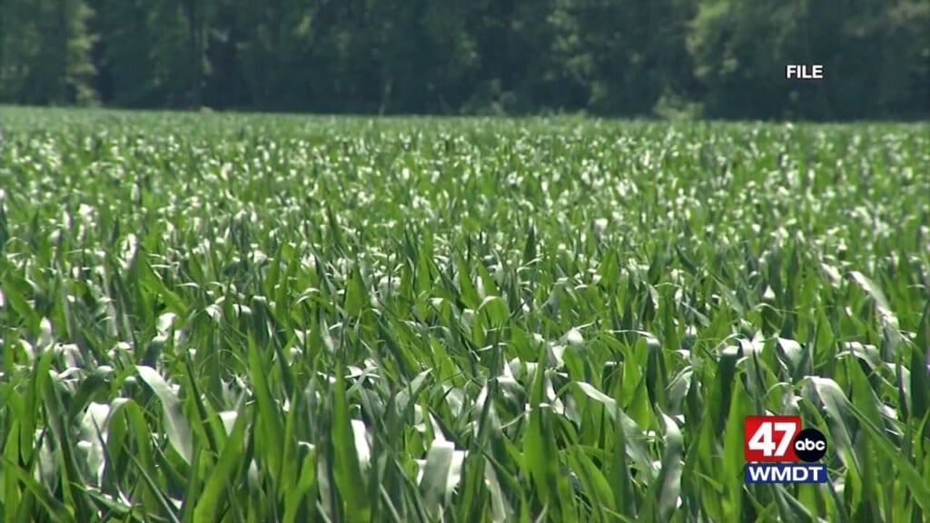 Soil Health