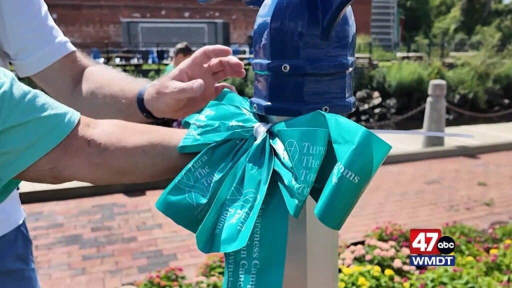 Teal Cancer