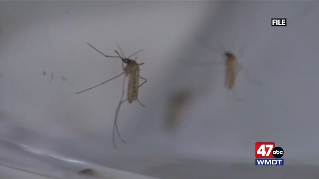 Mosquito Pack