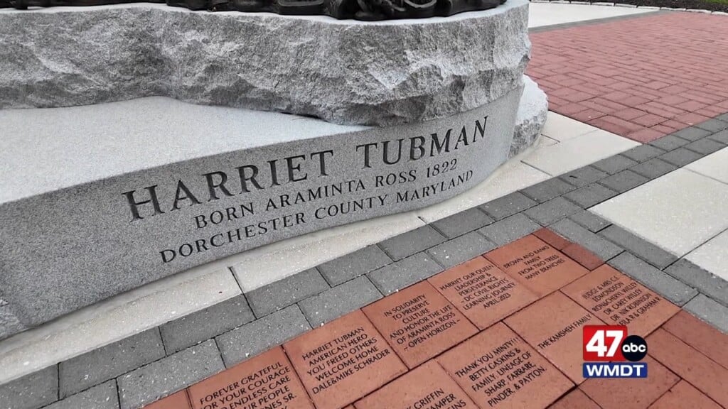 Tubman Pack