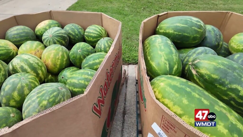 Watermelon Drop