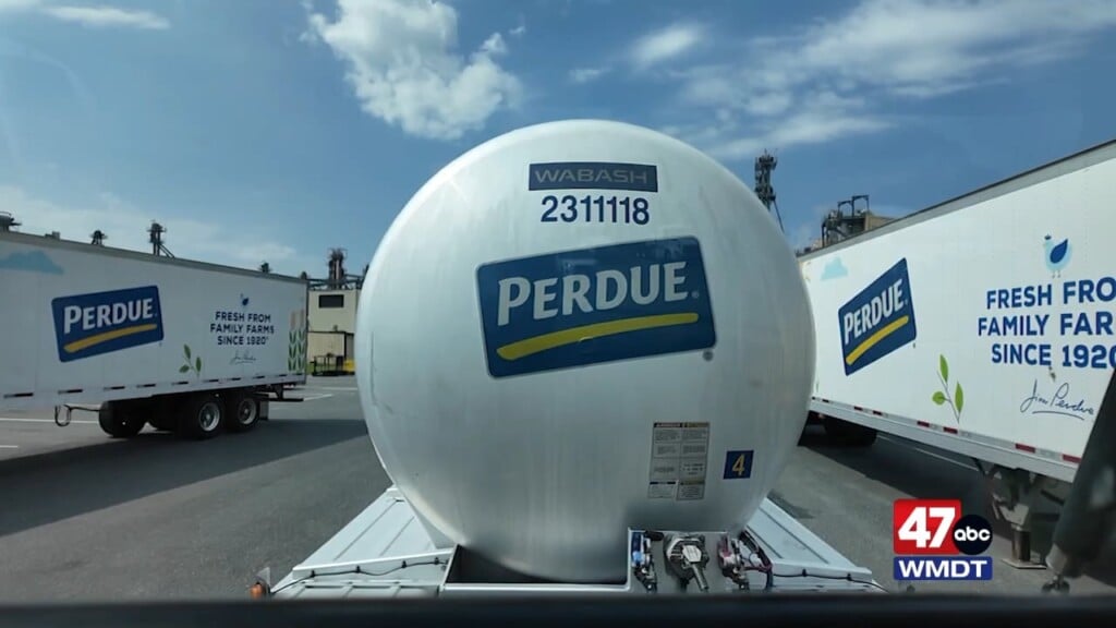 Perdue Driver