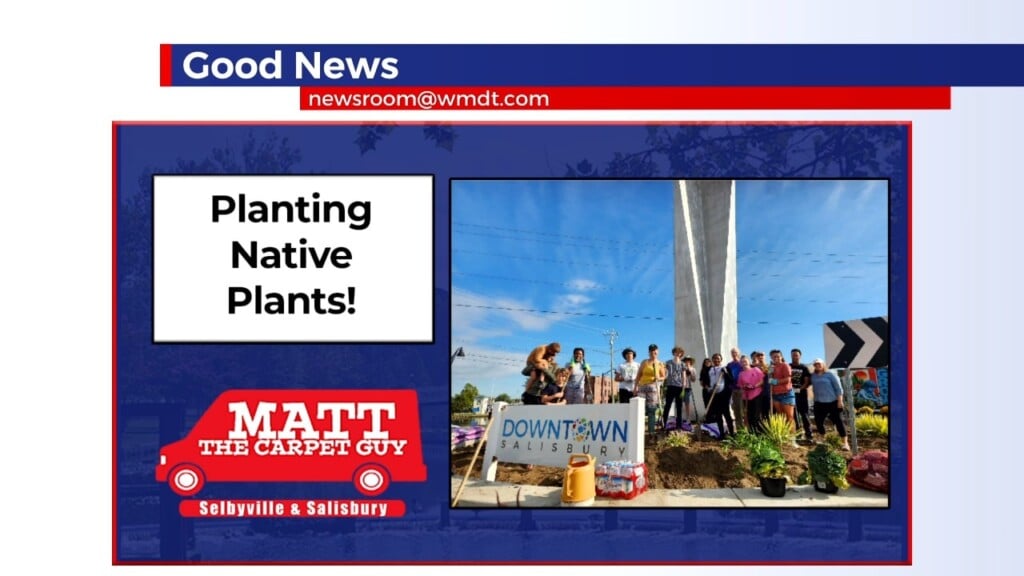 Good News 9/22/26