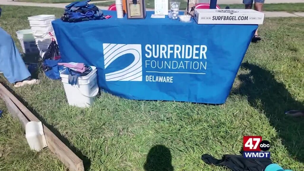 Delaware Surfrider Foundation