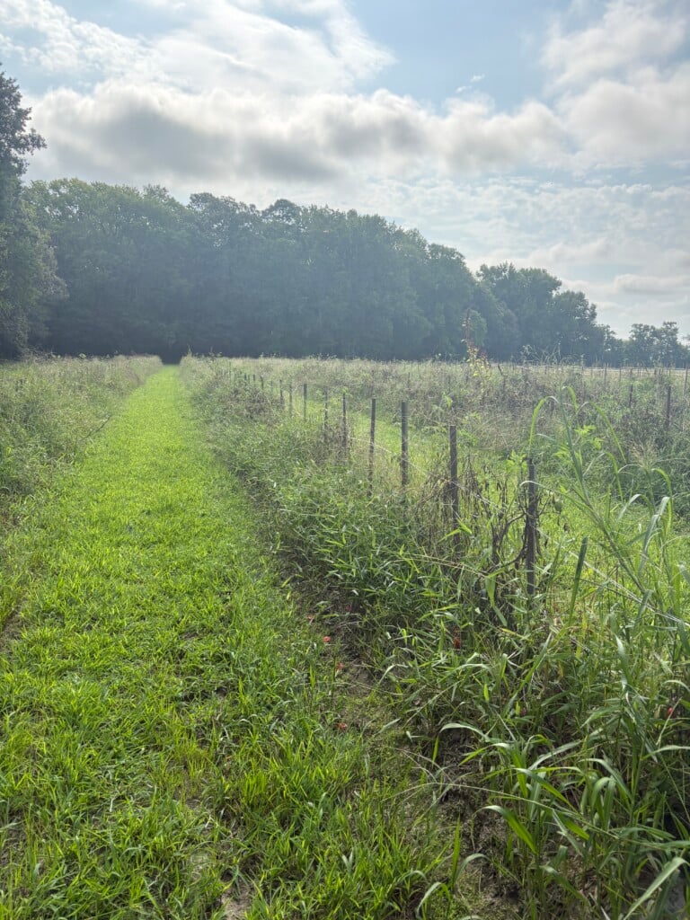 Img 3792