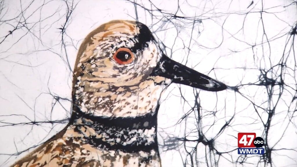 Discover Delmarva Arts Eric Jackson