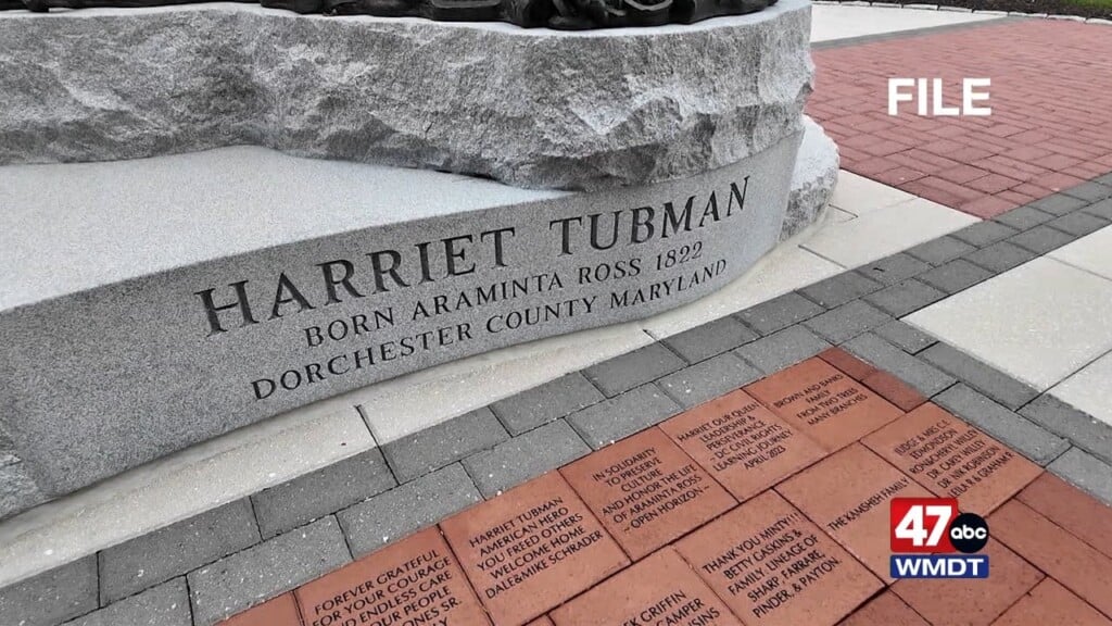 Tubman Vosot