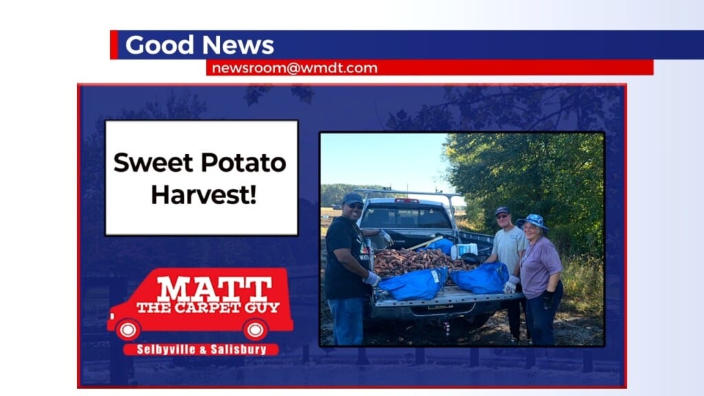 Good News 10/13/26