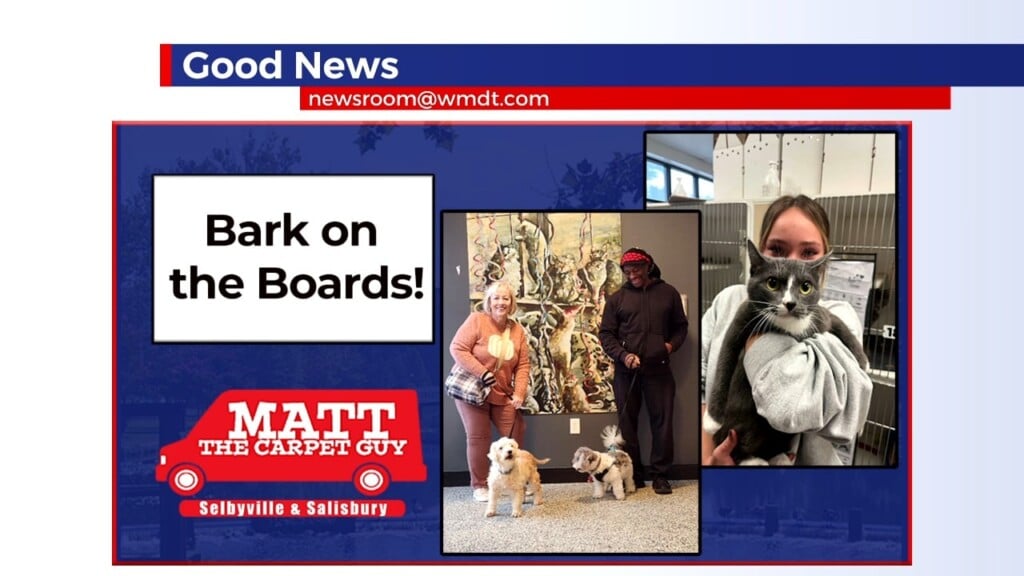 Good News 10/19/26