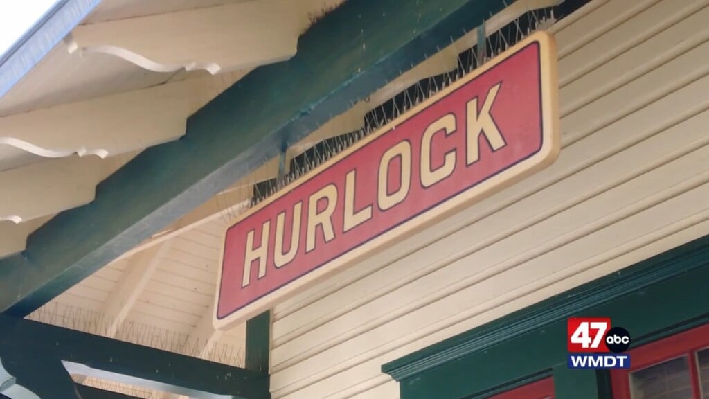 Hurlock Fall