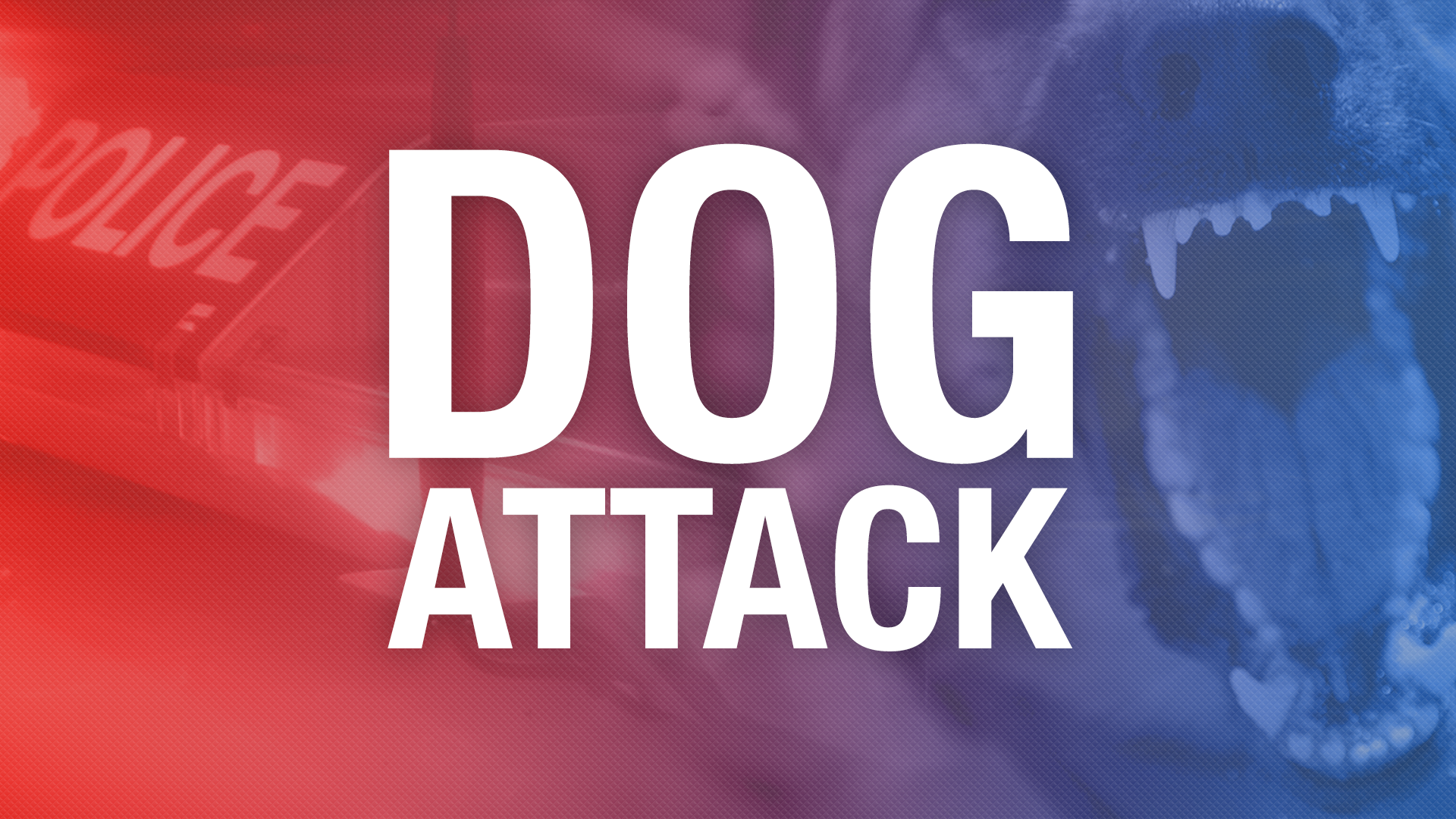 Infant dead after dog attack in Portland, Tennessee, police say - WNKY ...