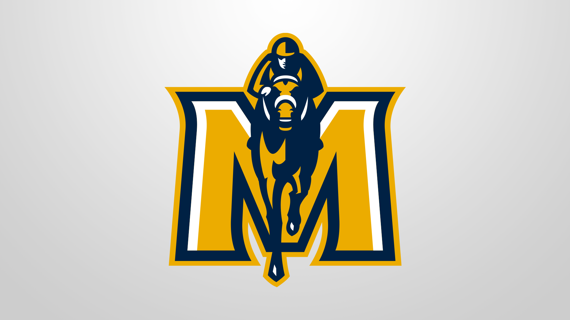 Murray State initiative aims to help grow region's business WNKY News