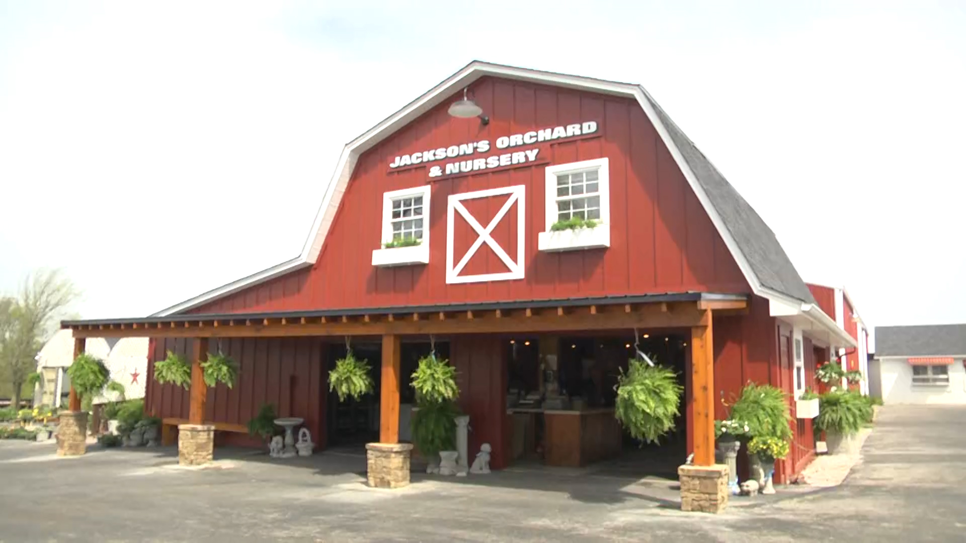 Jackson’s orchard officially opens for season WNKY News 40 Television
