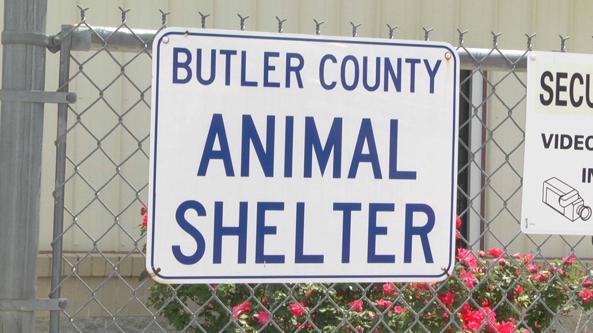 butler county animal shelter