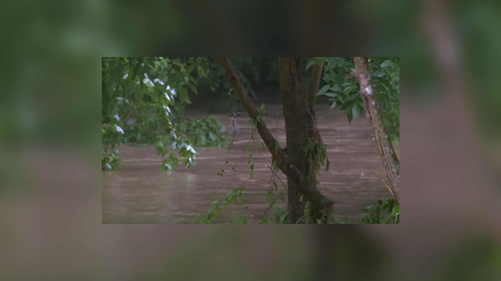 KY flash flooding sneaks up on residents WNKY News 40 Television