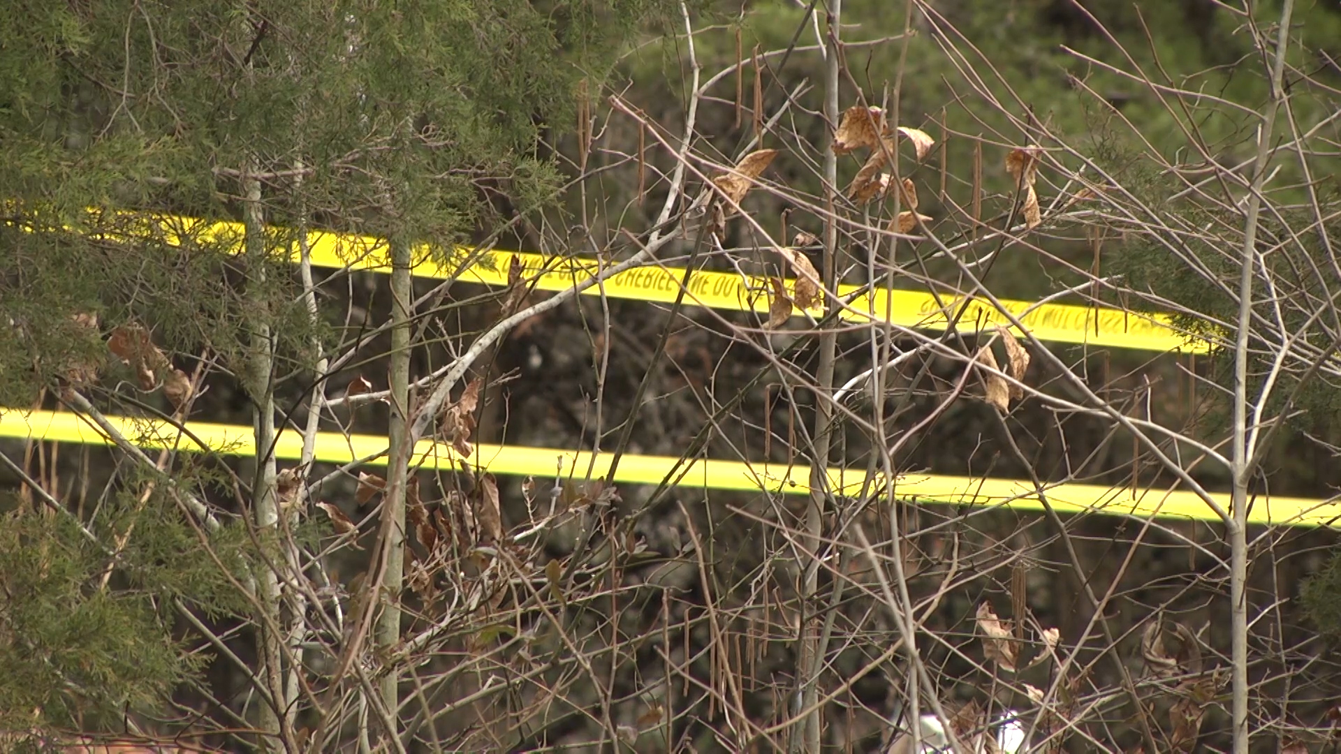 FBI releases new details on body discovered at Mammoth Cave National