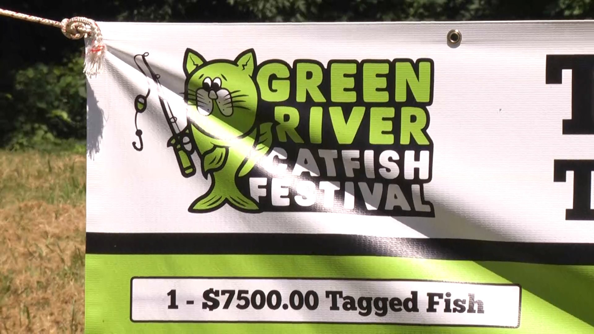 Catfish festival lures visitors to Butler County WNKY News 40 Television