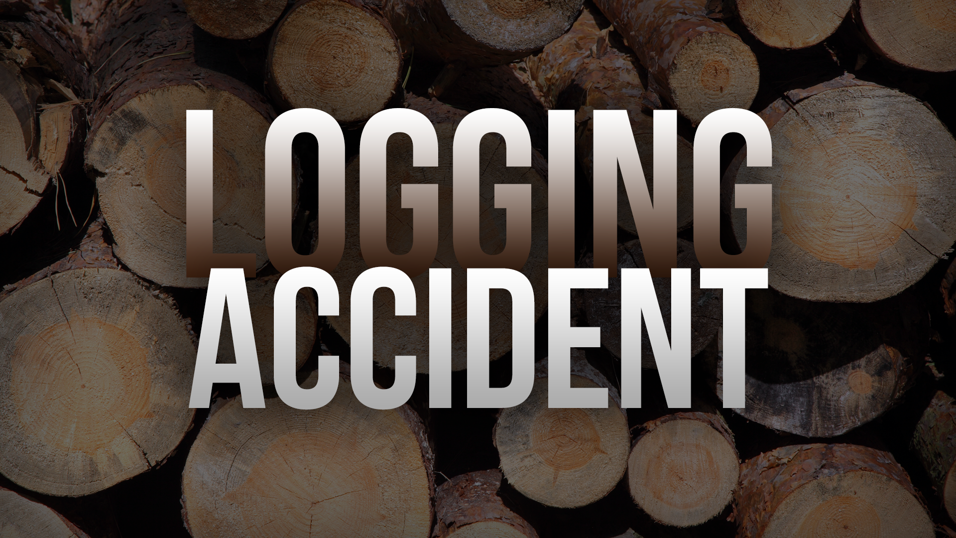 1 dead after Barren County logging accident - WNKY News 40 Television