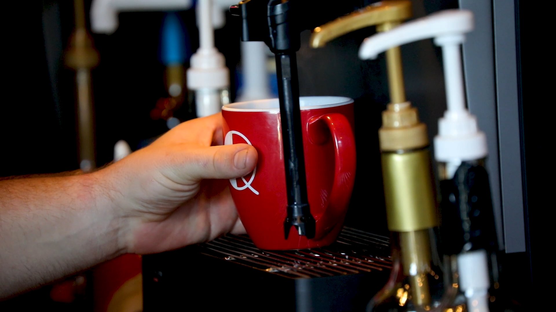 Let's Make A Meal Q Coffee Emporium WNKY News 40 Television