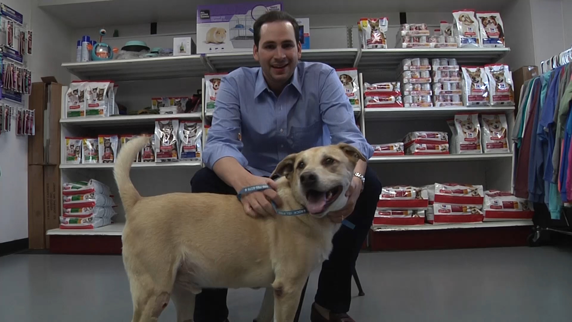 Pet of the Day Tucker WNKY News 40 Television