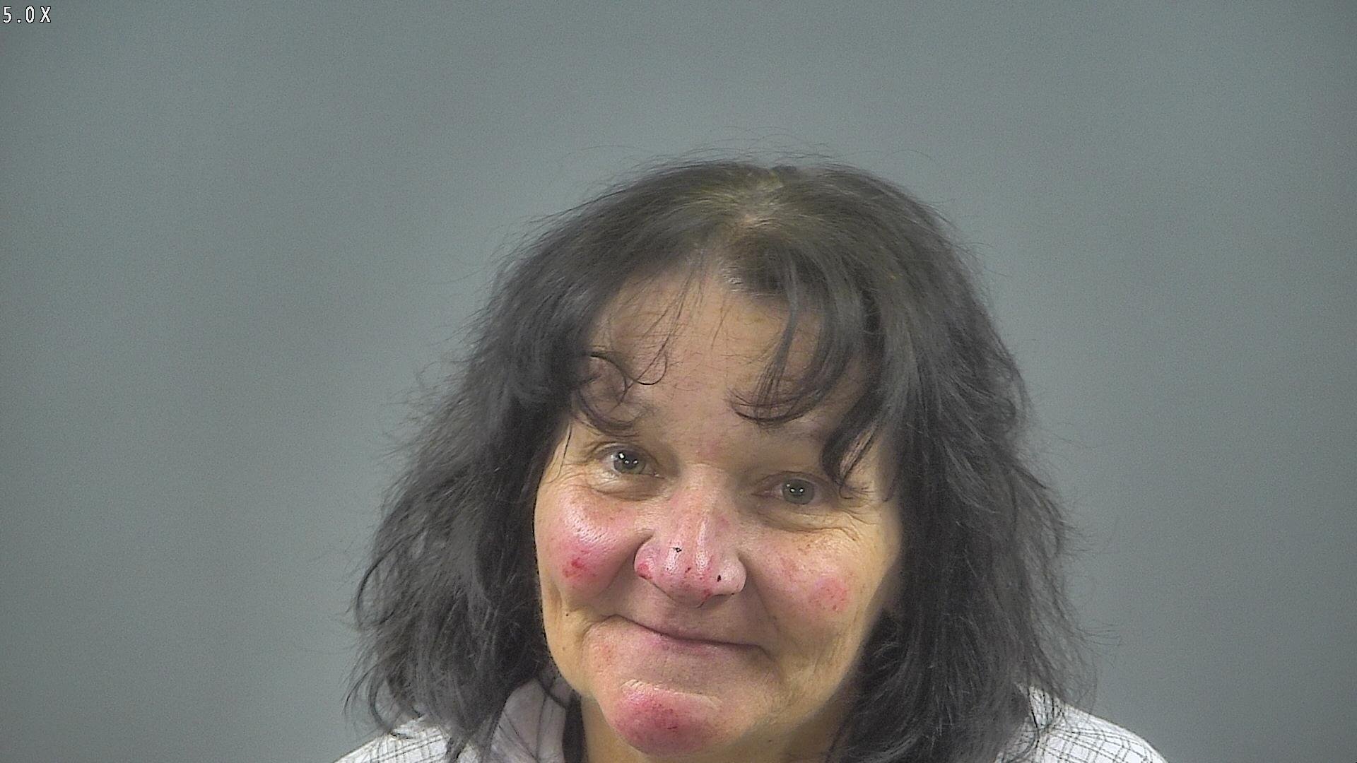 Bowling Green woman accused of threatening police with loaded firearm WNKY News 40 Television