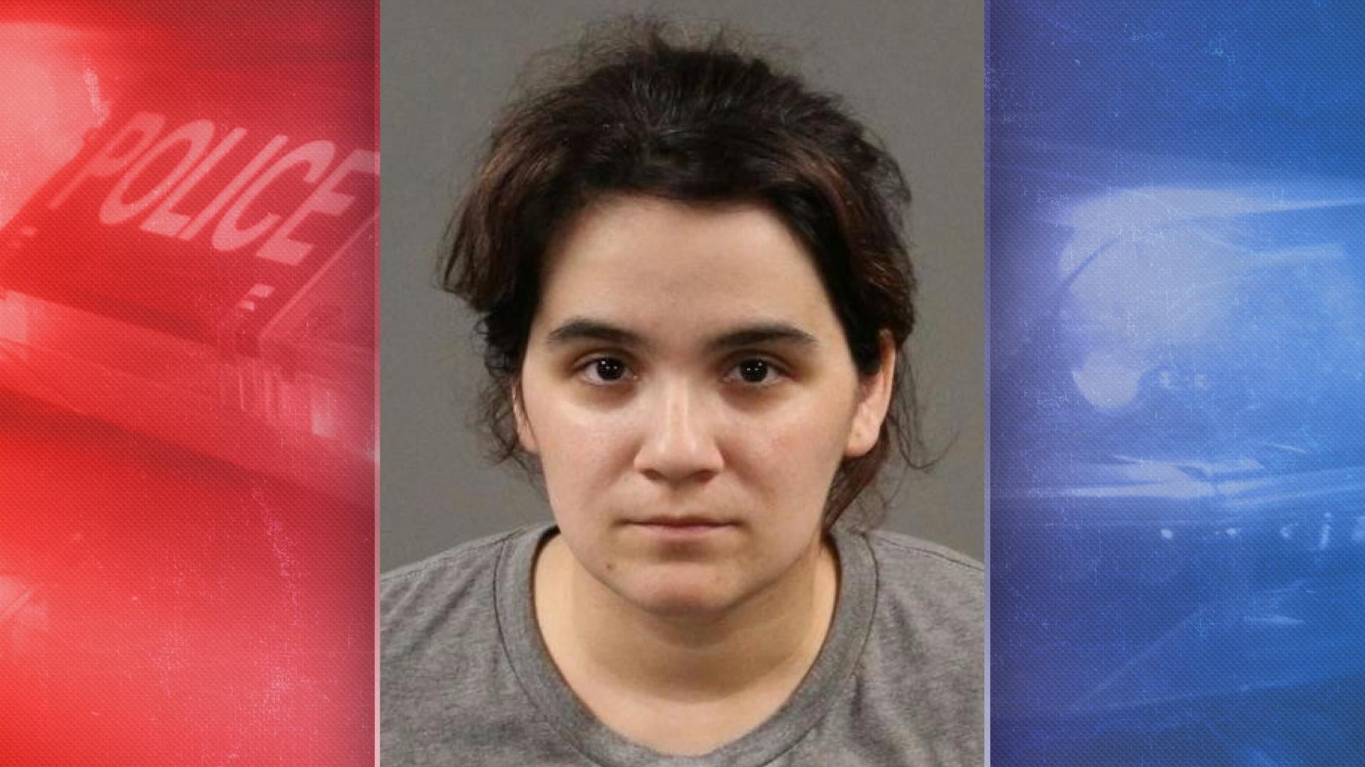 Hit-and-run driver sentenced to 12 years after striking Bowling Green ...