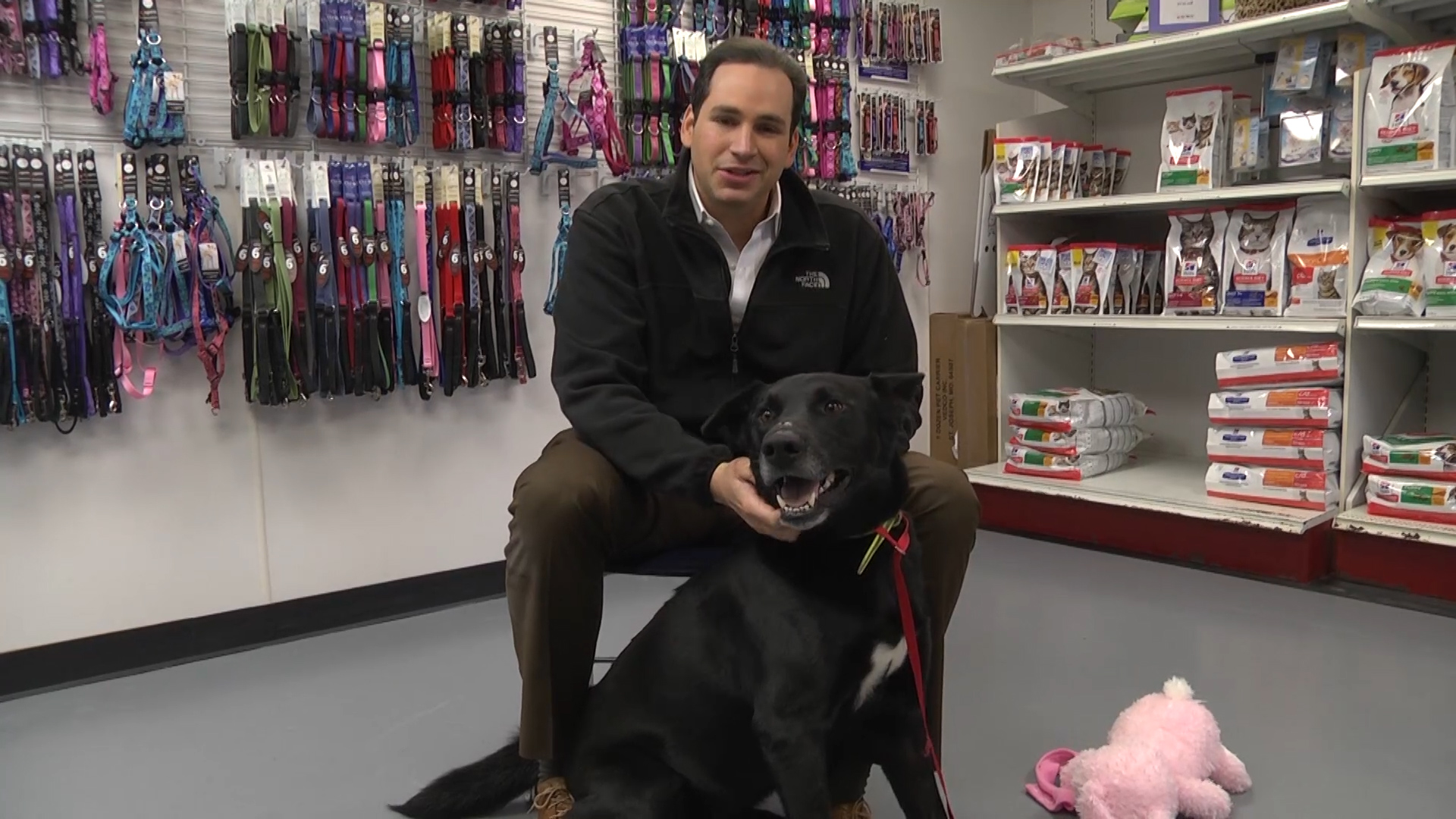 Pet of the Day Sergeant WNKY News 40 Television