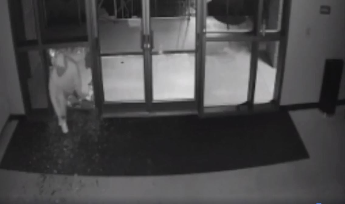 Bowling Green church broken into; items stolen - WNKY News 40 Television