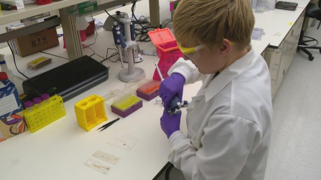 Nc Coronavirustest0303 1920x1080