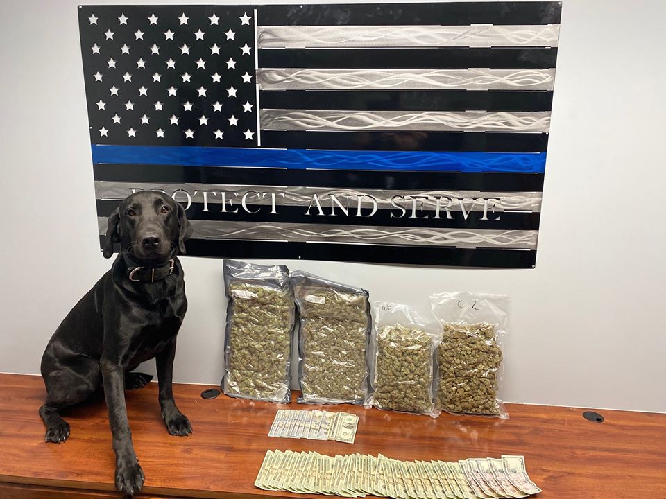 K9 Joe