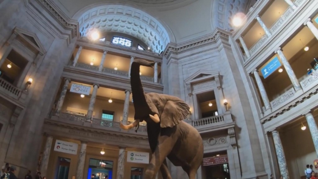 Virtual Travel Offers A Stay At Home Break