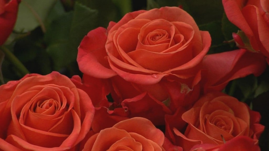 Nc Mothersday0428 1920x1080