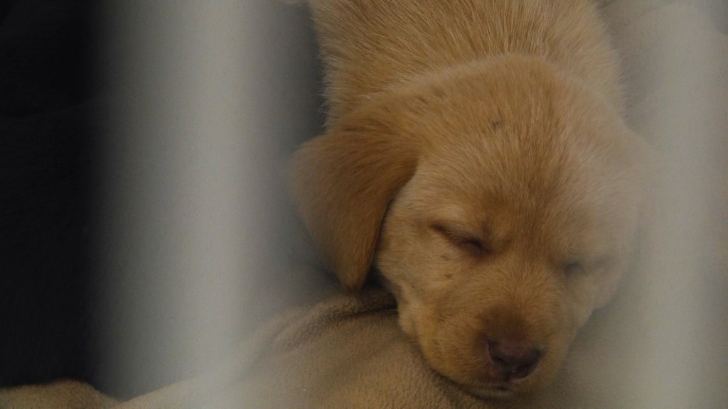 00045.00 00 41 05.still001